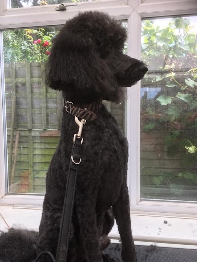 Grooming Van Image