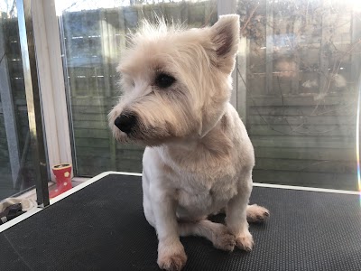 Pampered Pups Dog Grooming