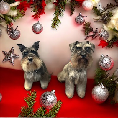 Grooming Van Image