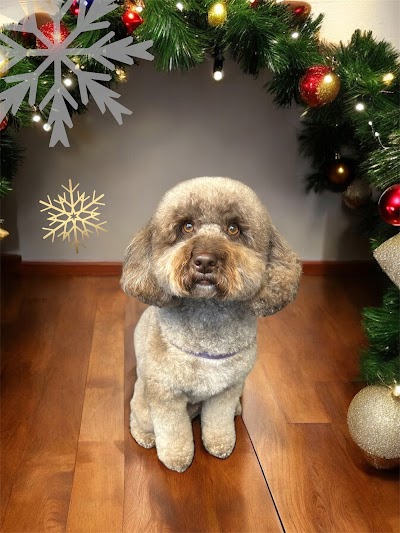 Grooming Van Image