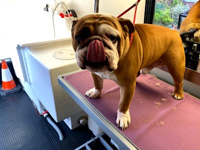 Grooming Van Image