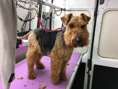 Grooming Van Image