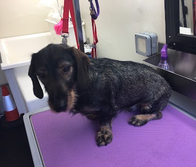 Grooming Van Image