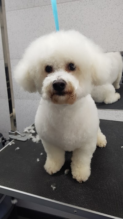 Grooming Van Image