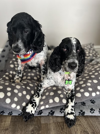 Grooming Van Image