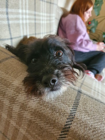 Grooming Van Image