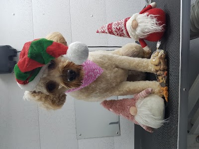 Grooming Van Image