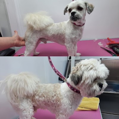 Grooming Van Image