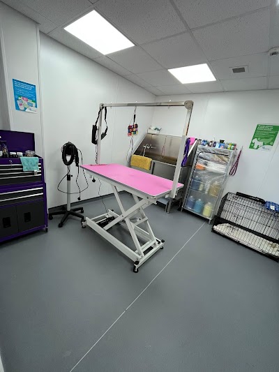 Grooming Van Image