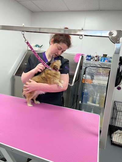 Grooming Van Image