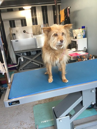 Grooming Van Image