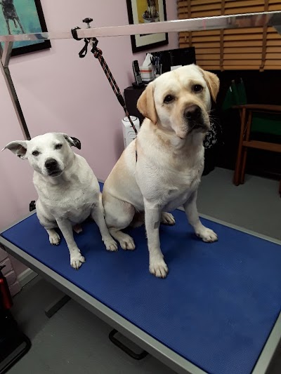 Grooming Van Image