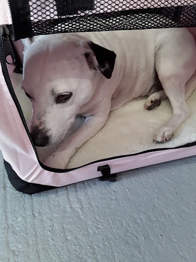 Grooming Van Image
