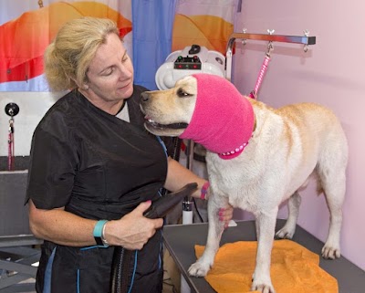 Grooming Van Image