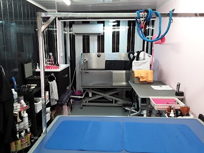 Pongo's Paws Dog Grooming Salon