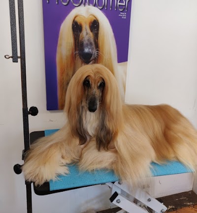 Grooming Van Image
