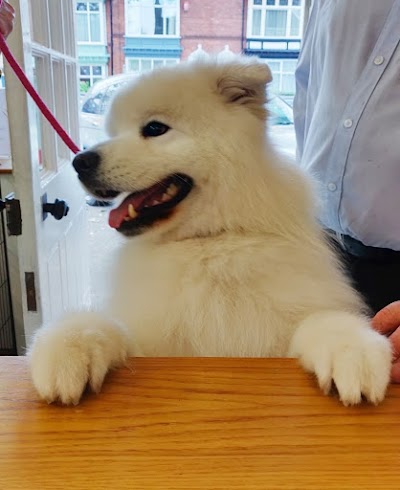 Grooming Van Image