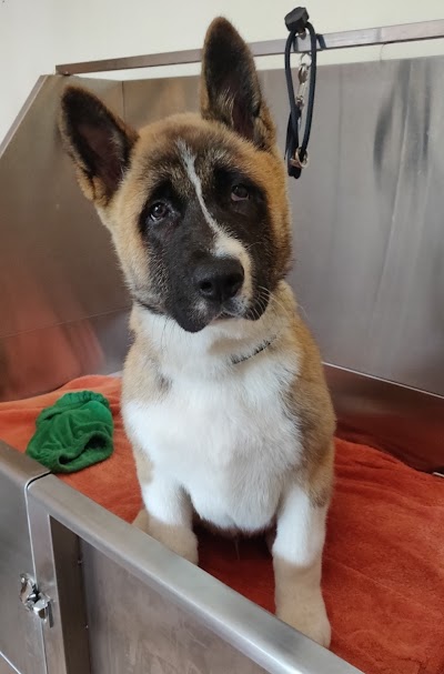 Grooming Van Image