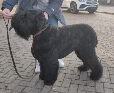 Grooming Van Image