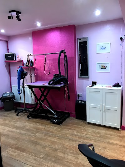 Grooming Van Image