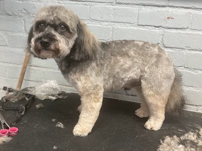 Grooming Van Image
