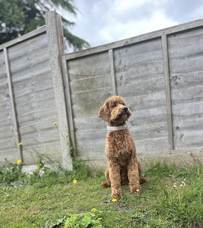 Grooming Van Image