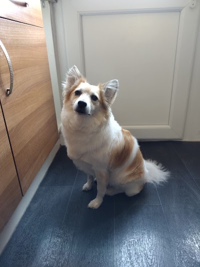 Grooming Van Image