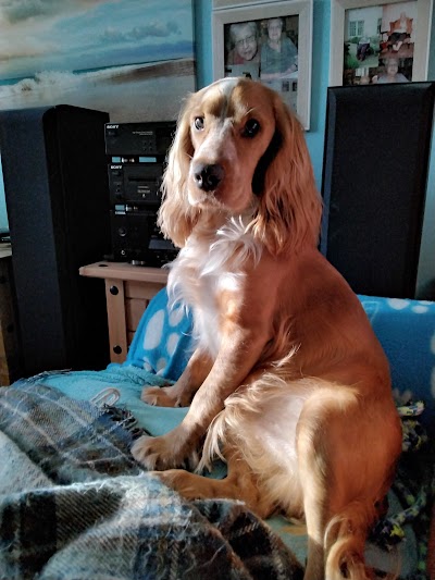 Grooming Van Image