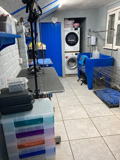 Rachael's Dog Grooming Rowley Regis