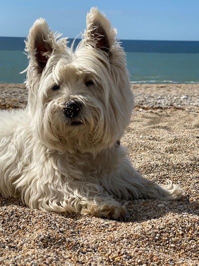 Roslyn's Dog Grooming