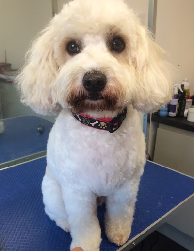 Grooming Van Image