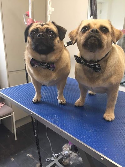 Grooming Van Image