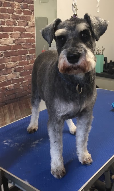 Grooming Van Image