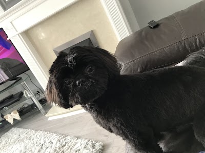 Grooming Van Image