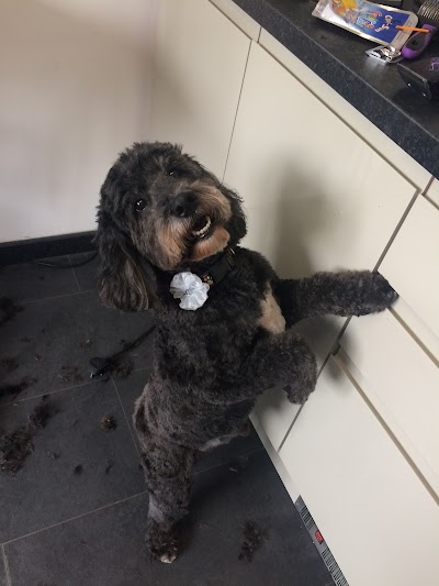 Grooming Van Image
