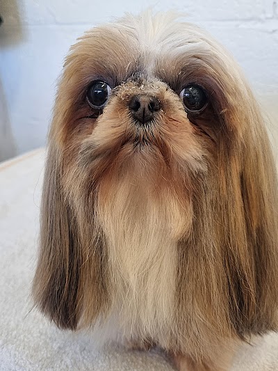 Grooming Van Image