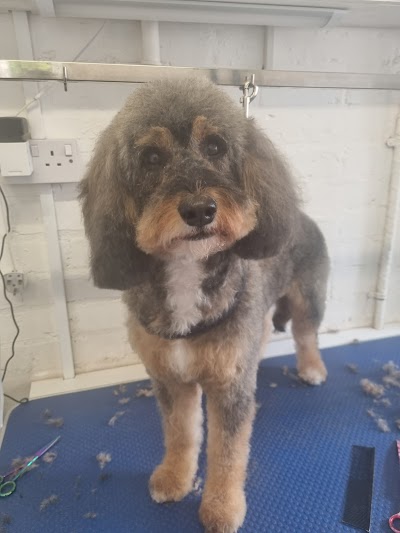 Grooming Van Image