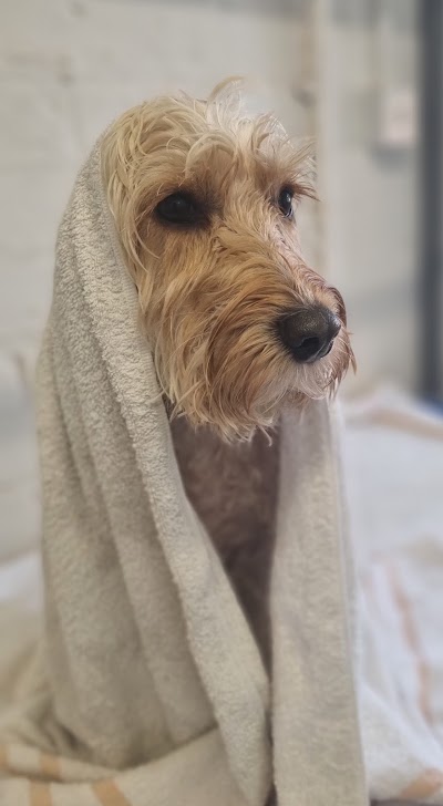 Grooming Van Image