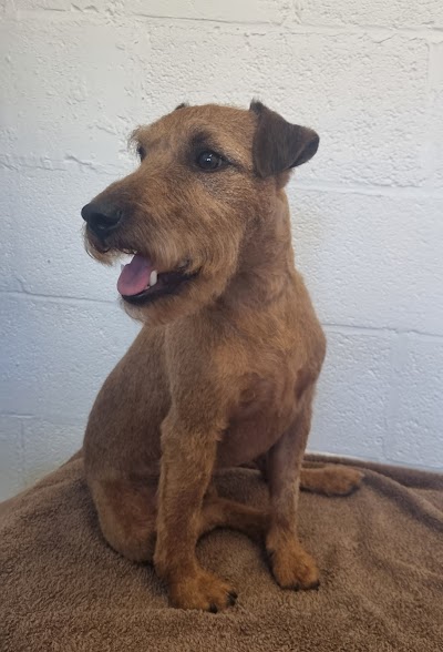 Grooming Van Image