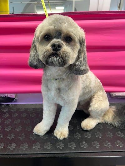 Grooming Van Image