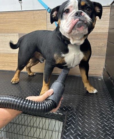Grooming Van Image