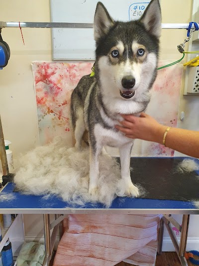 Grooming Van Image