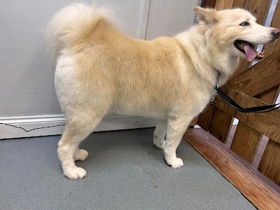 Grooming Van Image