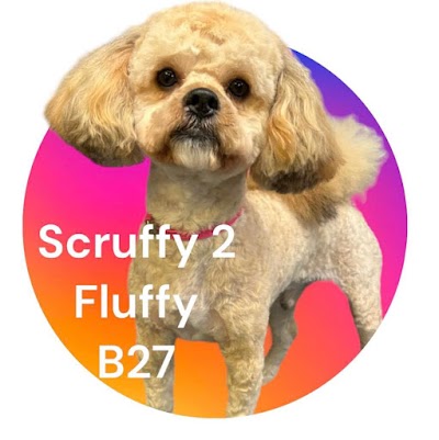 Scruffy 2 Fluffy