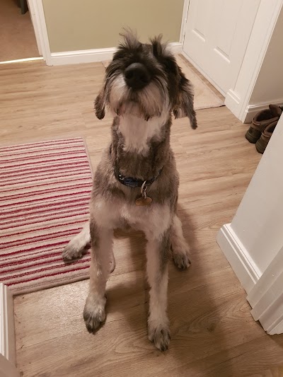 Grooming Van Image