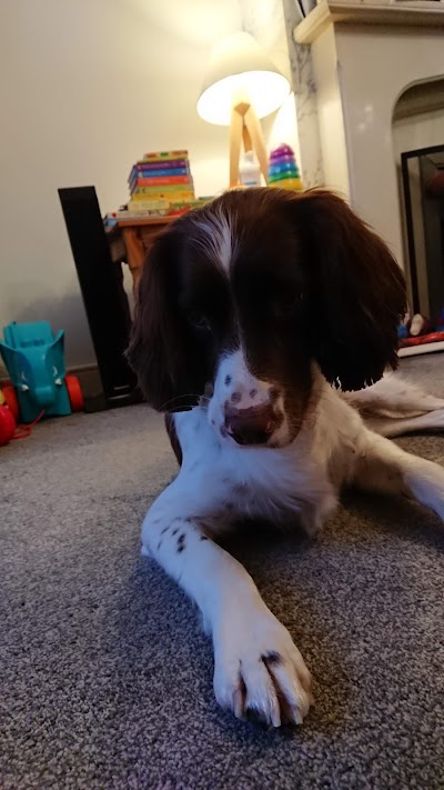 Grooming Van Image