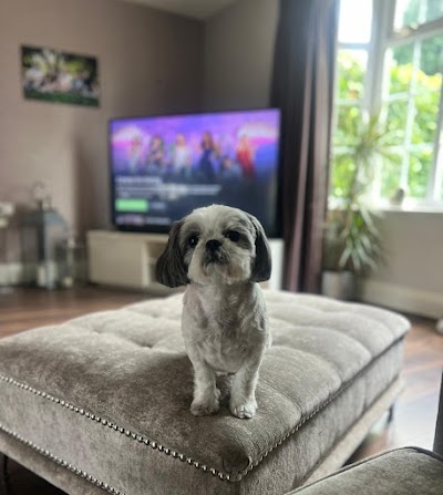Grooming Van Image