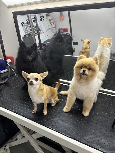 Grooming Van Image