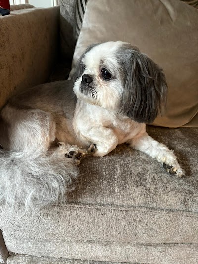 Grooming Van Image