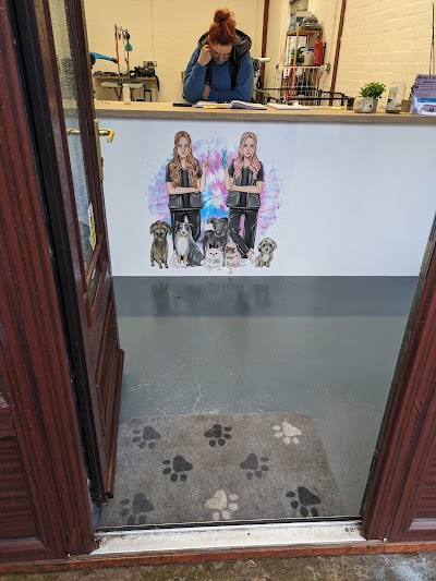 Shelby and Sally's groomers